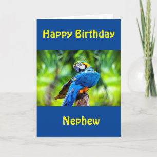 HAPPY BIRTHDAY "NEPHEW" CARD KARTE