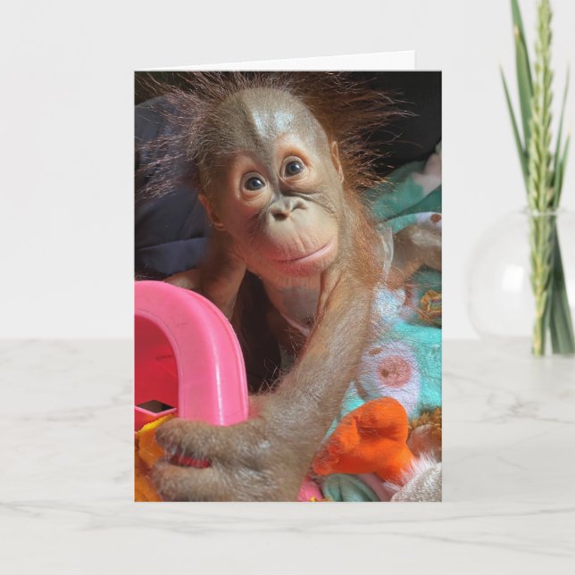 Happy Birthday Niedlich Baby Orangutan Karte (Vorderseite)