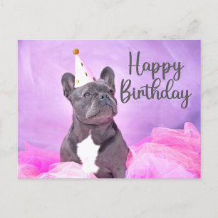 Happy Birthday Niedlich Funny French Bulldog Postkarte