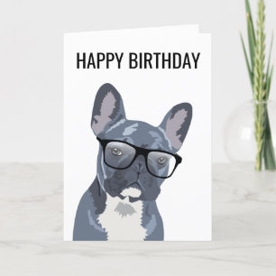 Happy Birthday Niedlich Hund Blauer/Grauer Bulld Karte