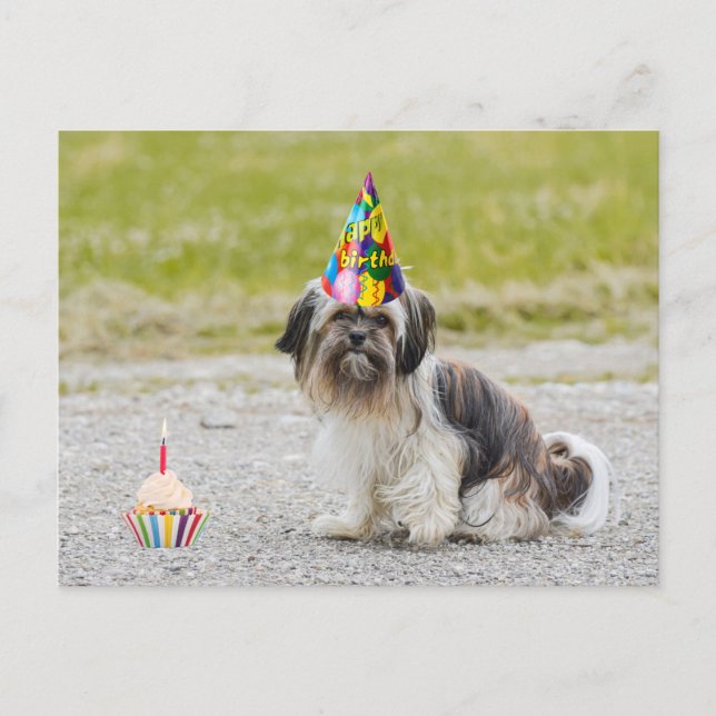 Happy Birthday Niedlich Hund mit Cupcake Postkarte (Vorderseite)