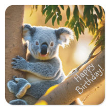 Happy Birthday Niedlich Koala Bären Stickers