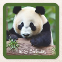 Happy Birthday Niedlich Panda Bear