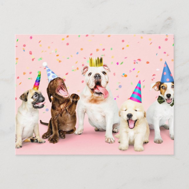 Happy Birthday Niedlich Party Tiere Postkarte (Vorderseite)