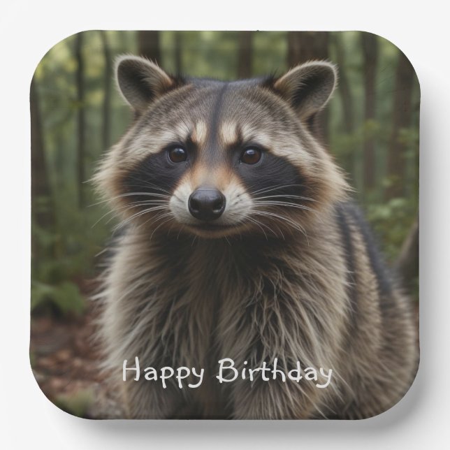 Happy Birthday Niedlich Raccoon Pappteller (Vorderseite)