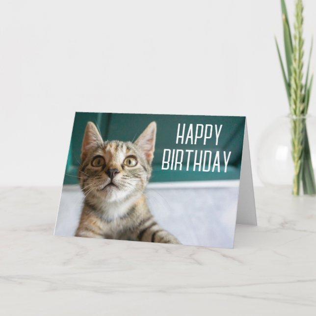 Happy Birthday | Niedlich Tabby Kitten Karte (Vorderseite)