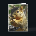 Happy Birthday Nutty Friend Funny Squirrel Karte<br><div class="desc">Alles Gute zum Geburtstag,  Freundschaft,  Humorvolles Eichhörnchen,  das die Geburtstagskarte isst. Der Text im Inneren kann bearbeitet werden,  um zu sagen,  was man möchte. Das ist eine tolle Karte für jemanden,  der Eichhörnchen Lieben!</div>