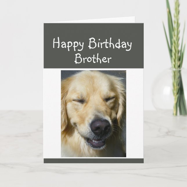 Happy Birthday Older Brother Fun Lachen Hund Karte (Vorderseite)
