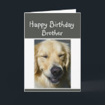 Happy Birthday Older Brother Fun Lachen Hund Karte<br><div class="desc">Denken Sie daran,  als älter war eine gute Sache Spaß Geburtstagskarte für den älteren Bruder.</div>