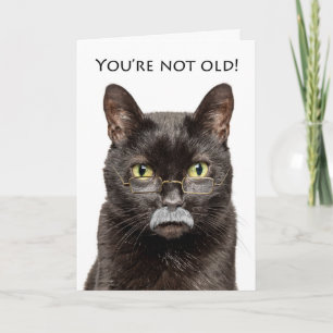 Happy Birthday Older Male Cat in Gray Mustache Feiertagskarte