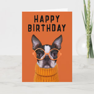 Happy Birthday   Orange Boston Terrier Karte