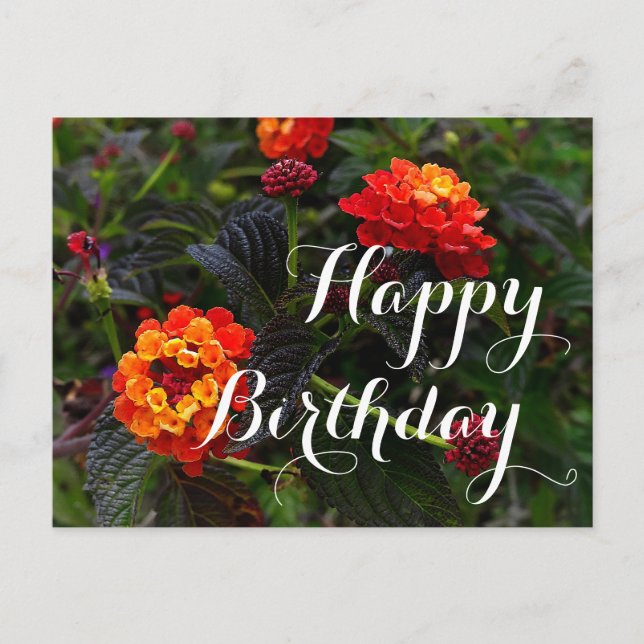 Happy Birthday Orange Red Trailing Lantana #1 Post Postkarte (Vorderseite)