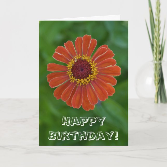 Happy Birthday Orange Zinnia Blume Blüte Karte (Vorderseite)