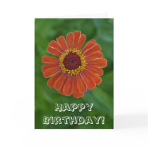Happy Birthday Orange Zinnia Blume Blüte