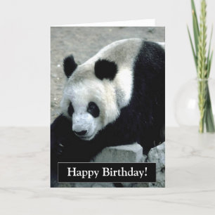 Happy Birthday Panda Bear Card Karte