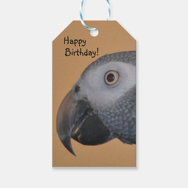 Happy Birthday Parrot Gift Tags Geschenkanhänger (Vorderseite)