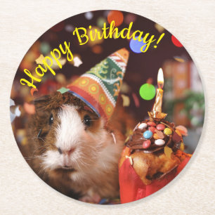 Happy Birthday - Party Animal Guinea Pig Runder Pappuntersetzer