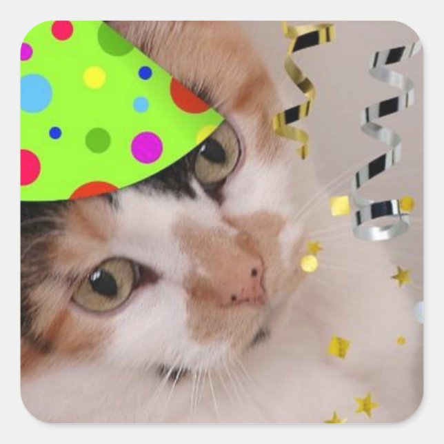 Happy Birthday Party Calico Cat Quadratischer Aufkleber (Vorderseite)