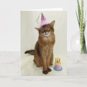 Happy Birthday Party Somali Cat Karte