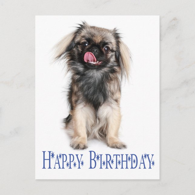 Happy Birthday Pekingese Puppy Dog Blue Postkarte (Vorderseite)