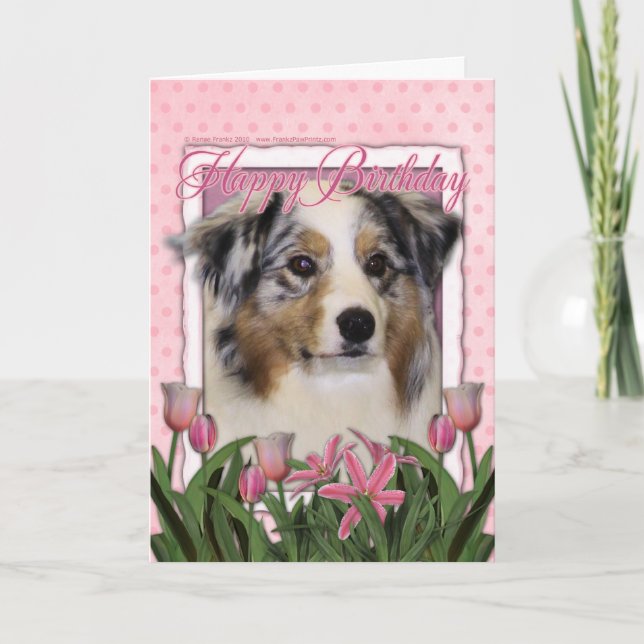 Happy Birthday - Pink Tulips - Australian Shepherd Karte (Vorderseite)