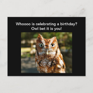 Happy Birthday Postcard Eastern Screech Owl Postkarte