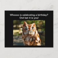 Happy Birthday Postcard Eastern Screech Owl