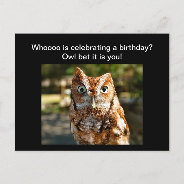 Happy Birthday Postcard Eastern Screech Owl Postkarte (Vorderseite)