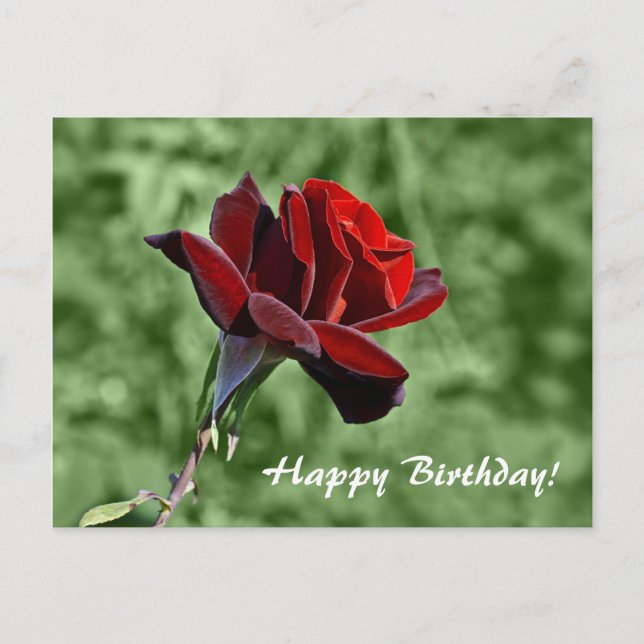 Happy Birthday Postcard Postkarte (Vorderseite)