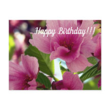 Happy Birthday Postcard