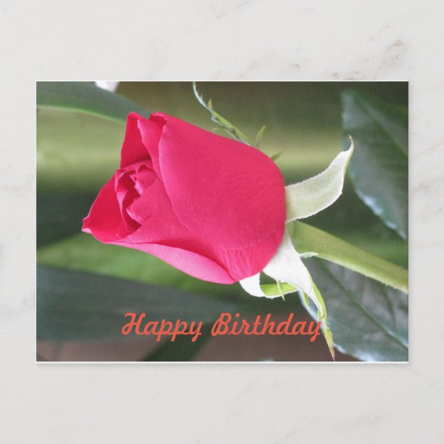 Happy Birthday Postcard Postkarte (Vorderseite)