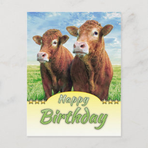 Happy Birthday Postkarte