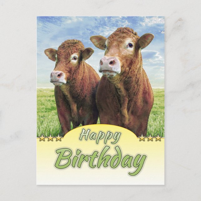 Happy Birthday Postkarte (Vorderseite)