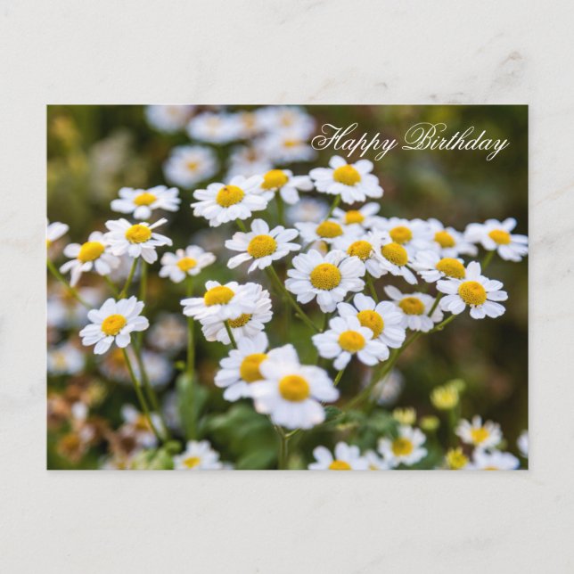 Happy Birthday Postkarte (Vorderseite)
