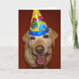 Happy Birthday Prima Karte