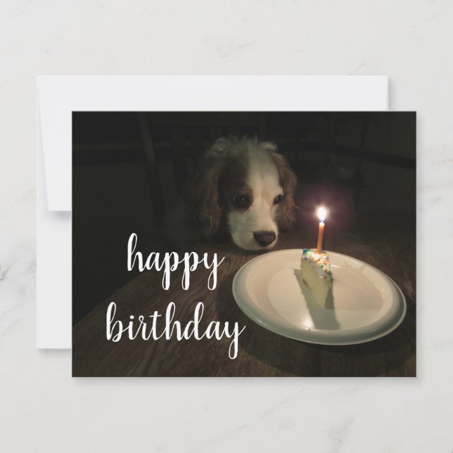 Happy Birthday Puppy | Blankokarte Karte (Vorderseite)