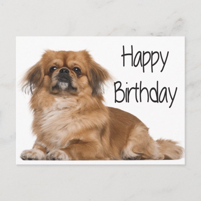 Happy Birthday Puppy Dog Black Postkarte (Vorderseite)