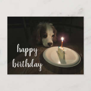 Happy Birthday Puppy   Postkarte