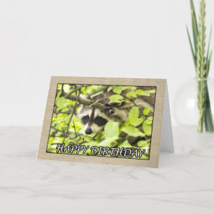 Happy Birthday Raccoon in Tree Card Karte