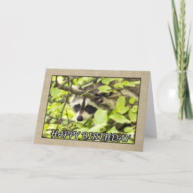 Happy Birthday Raccoon in Tree Card Karte (Vorderseite)