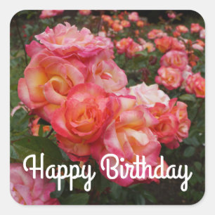 Happy Birthday Rainbow Sorbet Rose #4 Stickers