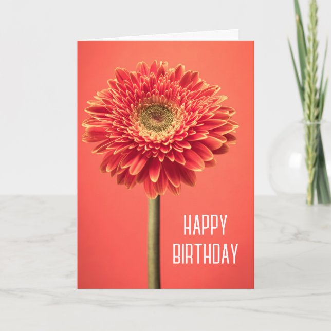 Happy Birthday | Red Barberton Gerbera Daisy Karte (Vorderseite)