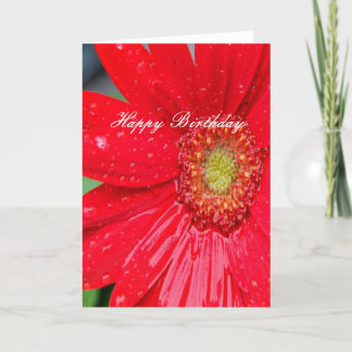 Happy Birthday Red Blume Karte