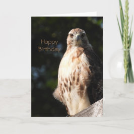 Happy Birthday Red Schwanz Hawk Karte
