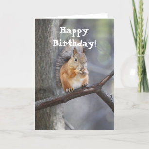 Happy Birthday Red Squirrel Grußkarte Karte