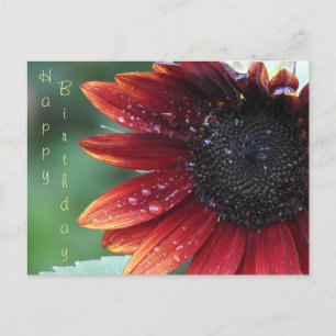 Happy Birthday Red Sunflower Postkarte