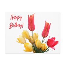Happy Birthday Red Tulpe Gelb Crocus Blumenzwiebel