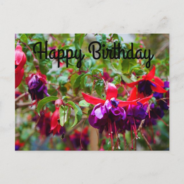 Happy Birthday Red und Lila Fuchsia #2 Postcard Postkarte (Vorderseite)