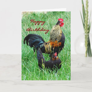 Happy Birthday Rooster und Hen Karte