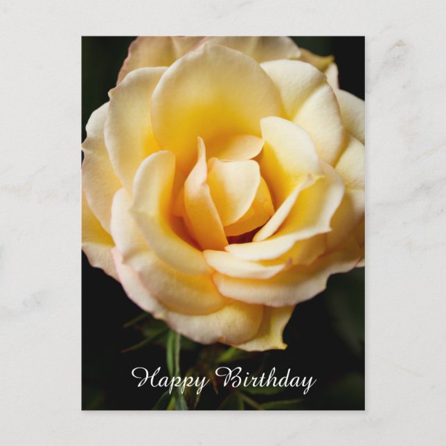 Happy Birthday Rose Postcard Postkarte (Vorderseite)